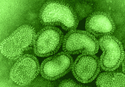 protivovirus1